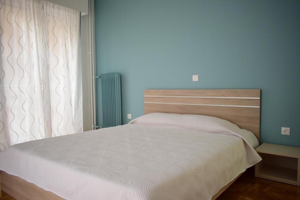 Beautiful Renovated Flat In Athens Appartement Buitenkant foto